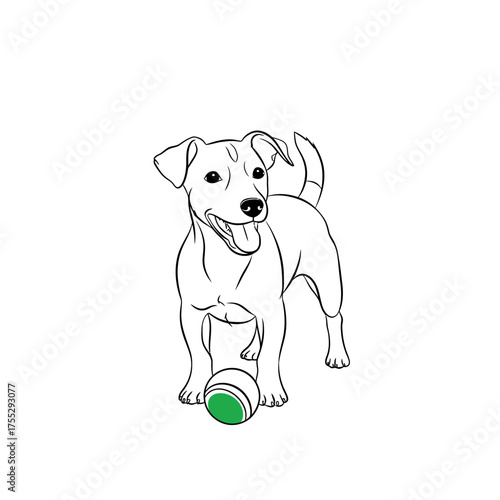 Vector art of a playful jack russell terrier dog stands on a with a green and white ball at its paws, ready for a game, representing fun, energy, and outdoor activity