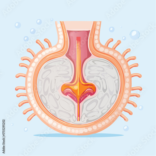 Illustration of a cell with internal structures, possibly a biological or medical concept.