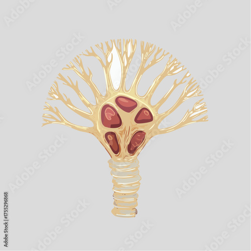 Illustration of a neuron with dendrites, cell body, and axon.