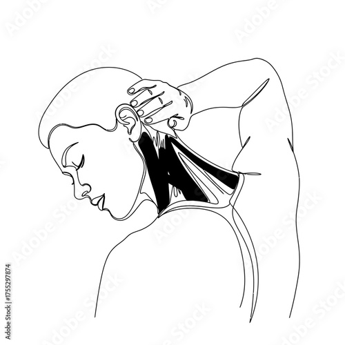 Vector art of line drawing of a person stretching their neck, highlighting the muscles in the neck and shoulder area