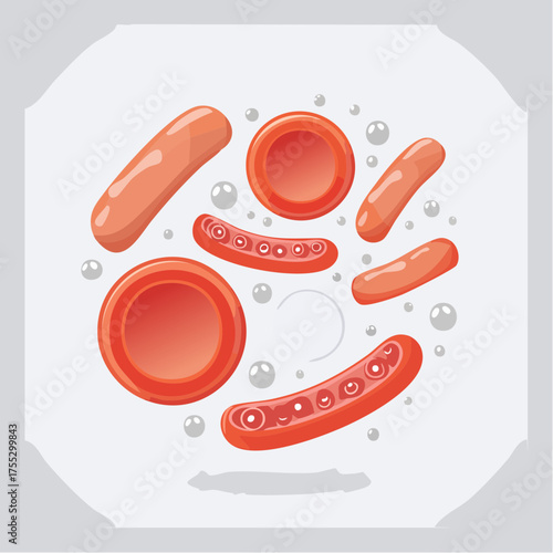 Illustration of various blood cells, including red blood cells and other components.