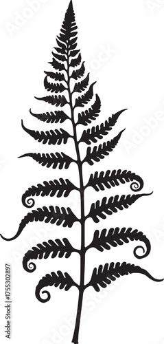 Black silhouette of a fern frond with curled tips black and white