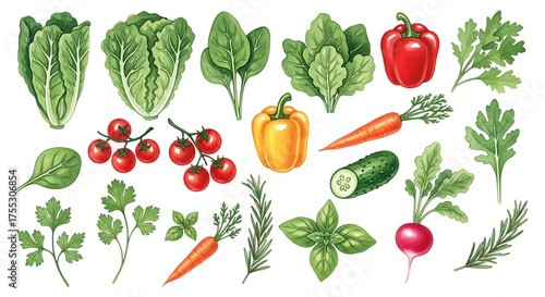 Fresh vegetables isolated on transparent background, perfect for healthy eating, cooking, and adding a vibrant touch to any culinary design project