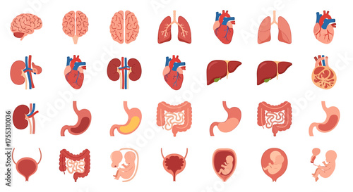 Adobe Illustrator Artwork