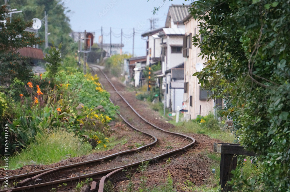 Obraz premium 花と家並みの間を抜けて—日南線南郷駅から大堂津駅方面を望む