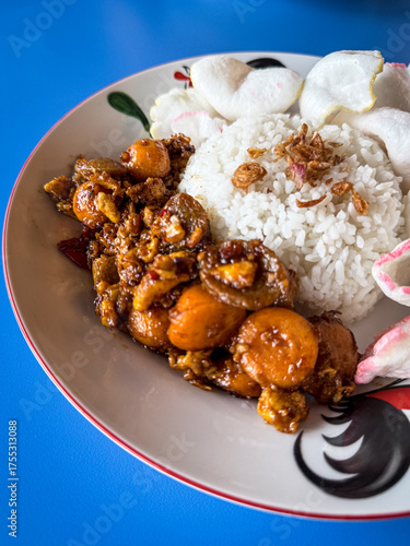 Wallpaper Mural A delicious plate of Indonesian “Nasi Gila” served with white rice, spicy stir-fried toppings, and crispy crackers on a rooster-pattern plate over a blue background. Torontodigital.ca
