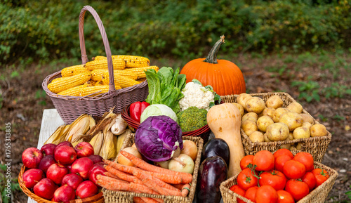Basket full of vegetable. Healthy food and diet. Dieting with organic vegetable colorful harvest. Autumn vegetable harvest. Harvesting in countryside. Healthy farming and harvesting. Vitamin harvest