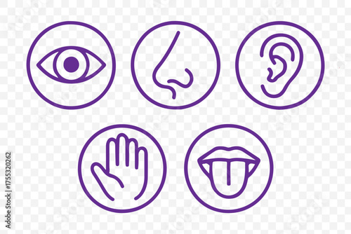 Human senses icon set. Vision eye, smell nose, hearing ear, touch hand, taste mouth with tongue. Simple line icons in circle. Five senses of human nervous system. set of five senses icon.
