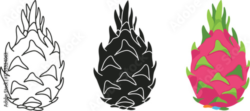 Minimalist Dragon Fruit Outline on White Background Modern Design Element