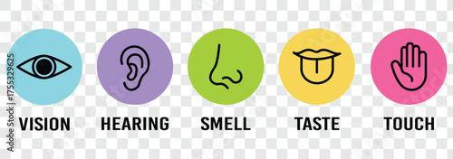 Human senses icon set. Vision eye, smell nose, hearing ear, touch hand, taste mouth with tongue. Simple line icons in circle. Five senses of human nervous system. Design eye, ear, nose, mouth.