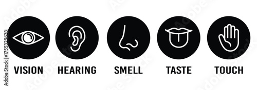 Human senses icon set. Vision eye, smell nose, hearing ear, touch hand, taste mouth with tongue. Simple line icons in circle. Five senses of human nervous system. Design eye, ear, nose, mouth.