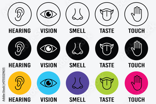 Human senses icon set. Vision eye, smell nose, hearing ear, touch hand, taste mouth with tongue. set of human five senses icon. Visual representation of human senses.