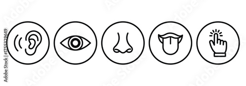 Human senses icon set. Vision eye, smell nose, hearing ear, touch hand, taste mouth with tongue. set of human five senses icon. Visual representation of human senses.