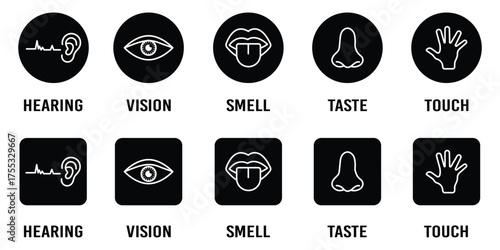 Human senses icon set. Vision eye, smell nose, hearing ear, touch hand, taste mouth with tongue. set of human five senses icon. Visual representation of human senses.