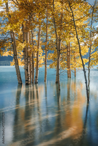 Autumn trees reflected in water