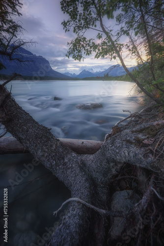 The river flowing in the morning