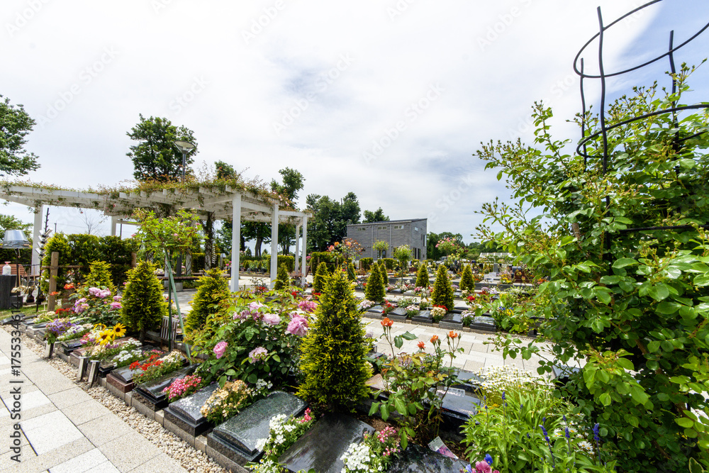Obraz premium Beautiful Japanese cemeteries where flowers bloom - 46