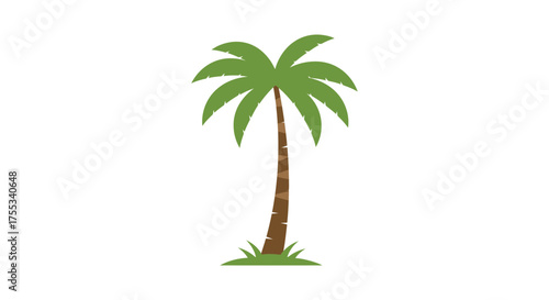 A tall slender palm tree with green fronds and a brown trunk stands in a patch of green grass silhouette
