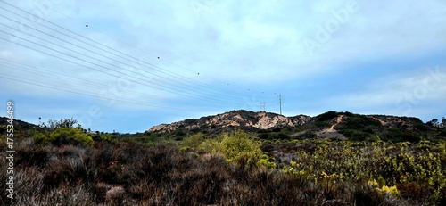looking at powerlines on a far off hill