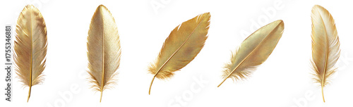 Golden Feather Collection in Various Shapes and Textures for Art Use, Isolated on Transparent, white background
