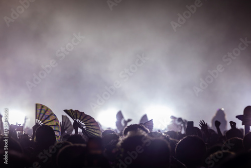 Fans with Arms Waving and Fans in the Crowd at an EDM Dance Music Concert Festival Show