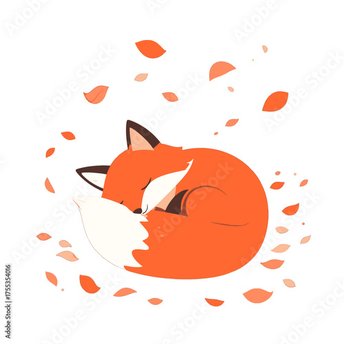 Sleeping Orange Fox Curled Up Surrounded by Falling Leaves on White Background Graphic Illustration