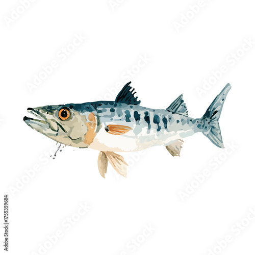 Vibrant Barracuda Fish Watercolor Illustration.