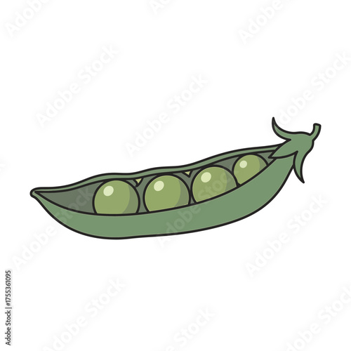 Fresh green pea pod with visible peas on white background