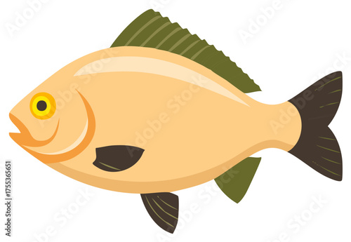 Golden fish illustration with green fins and dark tail. Simple stylized flat design representing aquatic life or freshwater creature.