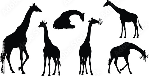 Lion silhouette, wild animal, African wildlife, big cat, predator, majestic mane, walking lion, running lion, safari scene, nature illustrationLion silhouette, wild a