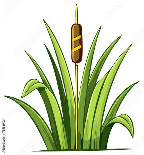 Illustration of Bulrush Plant with Brown Head and Green Leaves, Cartoon Style Decorative Reed Plant Growing