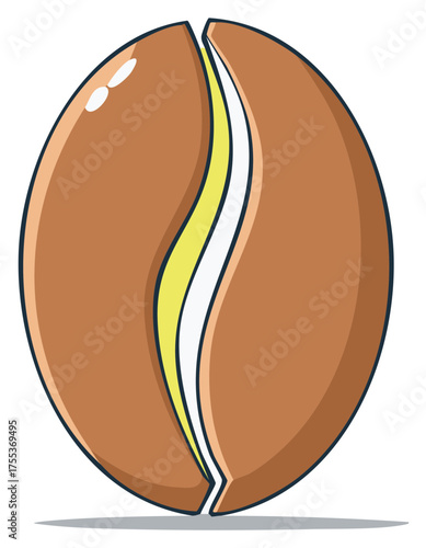 Isolated, stylized illustration of a coffee bean with internal details and shading.