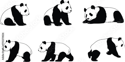 Panda silhouette, sitting panda, walking panda, standing panda, lying panda, wildlife vector, forest animal, nature illustration, wild mammal, animal pose art