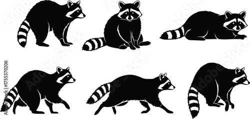 Raccoon silhouette vector set, wildlife animal illustration, black and white raccoon poses, forest creature clipart, stock image bundle