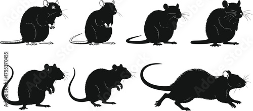 PrintRat silhouette vector set, rodent animal poses, black rat clipart, walking rat, sitting rat, running rat, isolated illustration
