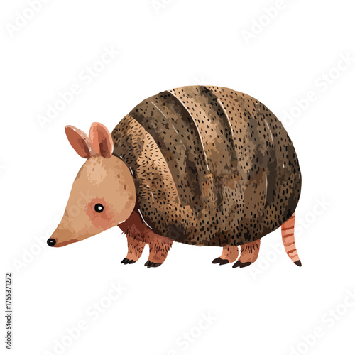 Cute Armadillo Illustration Watercolor Style.