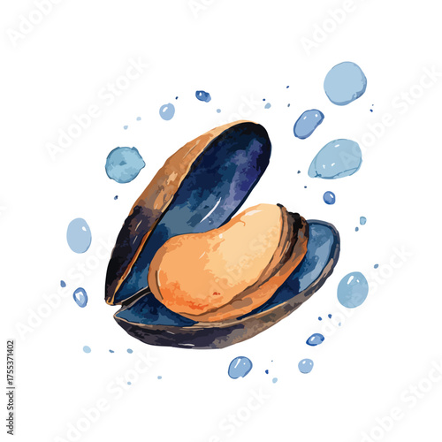 Watercolor Mussel Seafood Illustration with Water Splashes.