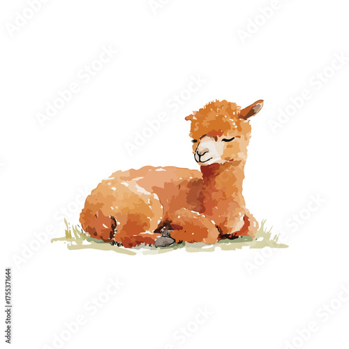 Cute Baby Alpaca Watercolor Illustration.