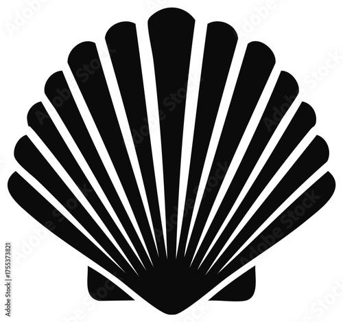 Stylized Black Shell Image on White, a Nautical Clam, a Symbolic Graphic Design