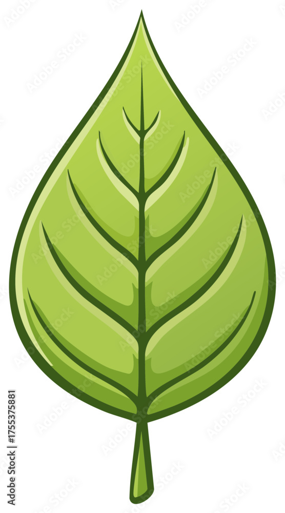 Obraz premium Stylized Green Leaf with Detailed Veins and Stem