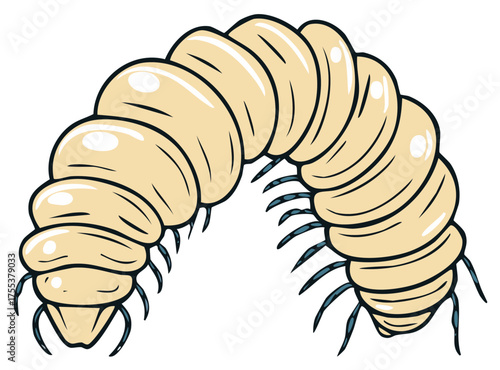 Cartoon Centipede Crawling Illustration, Millipede Bug Insect Animal Drawing, Segmented Body, Multiple Legs
