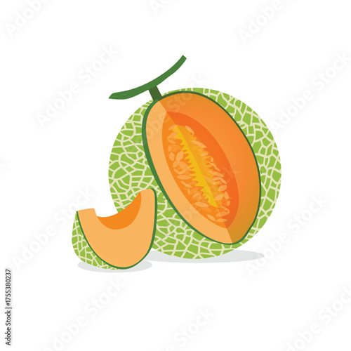 Cantaloupe melon, fruit vector, Fresh green Cantaloupe Melon fruit and pieces. Sweet organic melons for juice, smoothie or vitamin healthy food. Vector icon illustration isolated on white background