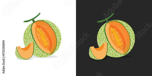 Cut Cantaloupe melon, fruit vector, Fresh green Cantaloupe Melon fruit and pieces. Sweet organic melons for juice, smoothie or vitamin healthy food. Vector illustration isolated on Black and White