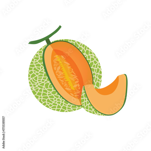 Cantaloupe melon, fruit vector, Fresh green Cantaloupe Melon fruit and pieces. Sweet organic melons for juice, smoothie or vitamin healthy food. Vector icon illustration isolated 