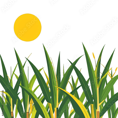 Green Grass with Yellow Sun Illustration Against White Background Vector Image