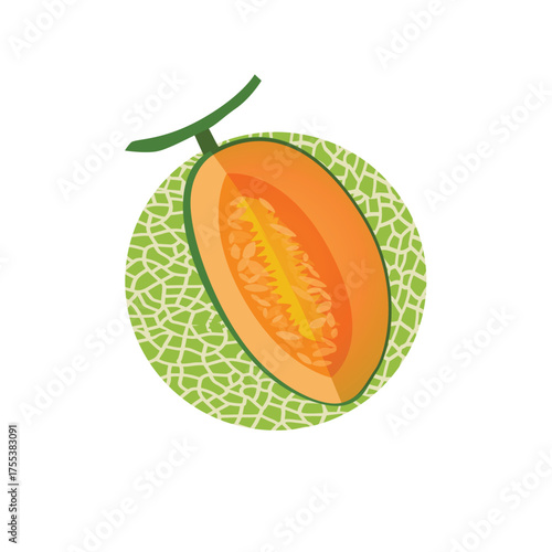 Cantaloupe melon, fruit vector, Fresh green Cantaloupe Melon fruit and pieces. Sweet organic melons for juice, smoothie or vitamin healthy food. Vector icon illustration isolated 