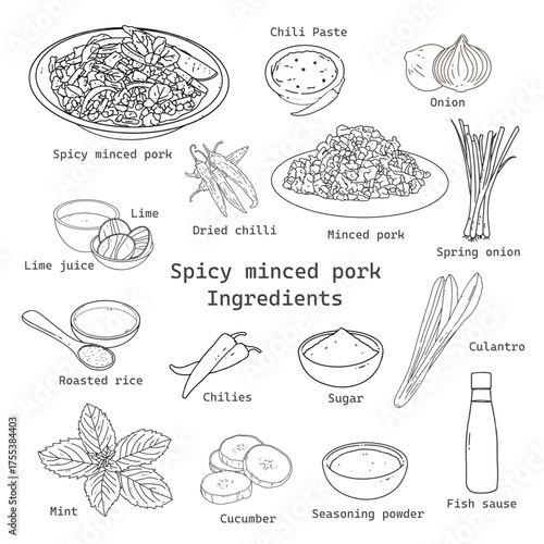 Larb Moo Thai cuisine Spicy minced pork