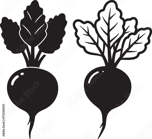 Two beet vegetables silhouette