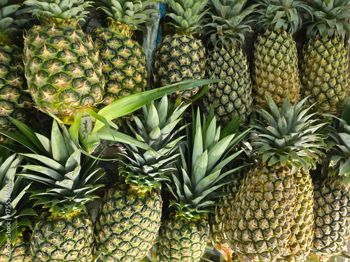 Fresh Pineapples Displayed for Sale at Market Stall