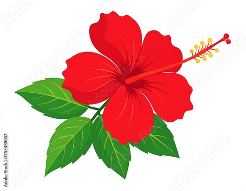 Vibrant Red Hibiscus Flower with Green Leaves Illustration.
